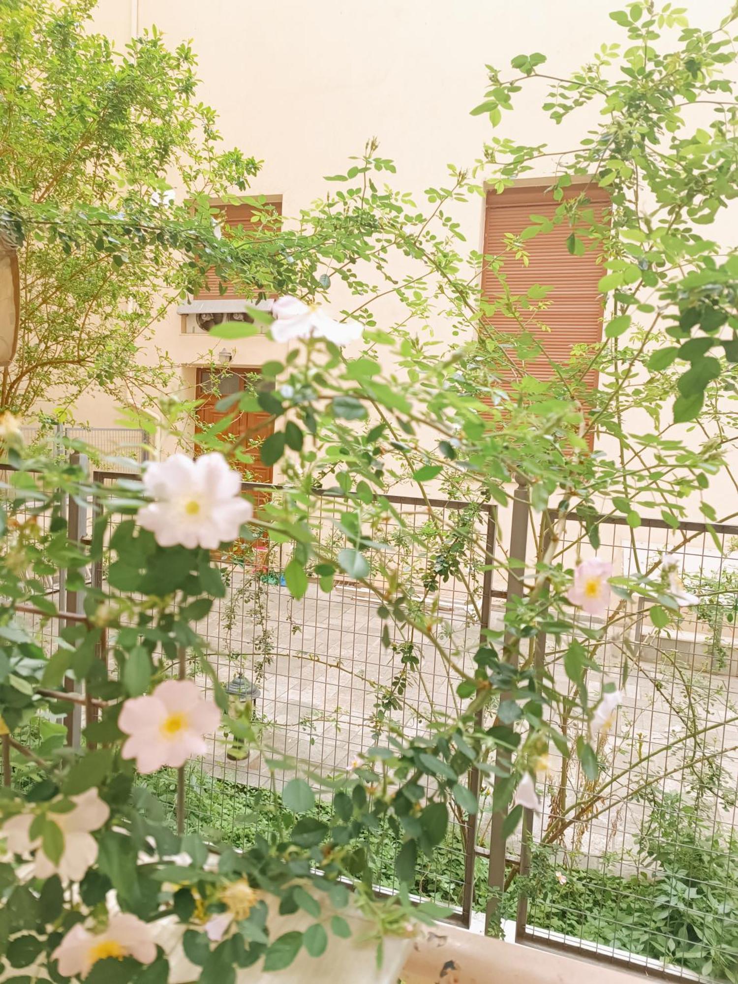 Ibis Close To Aristotelous Square 公寓 塞萨洛尼基