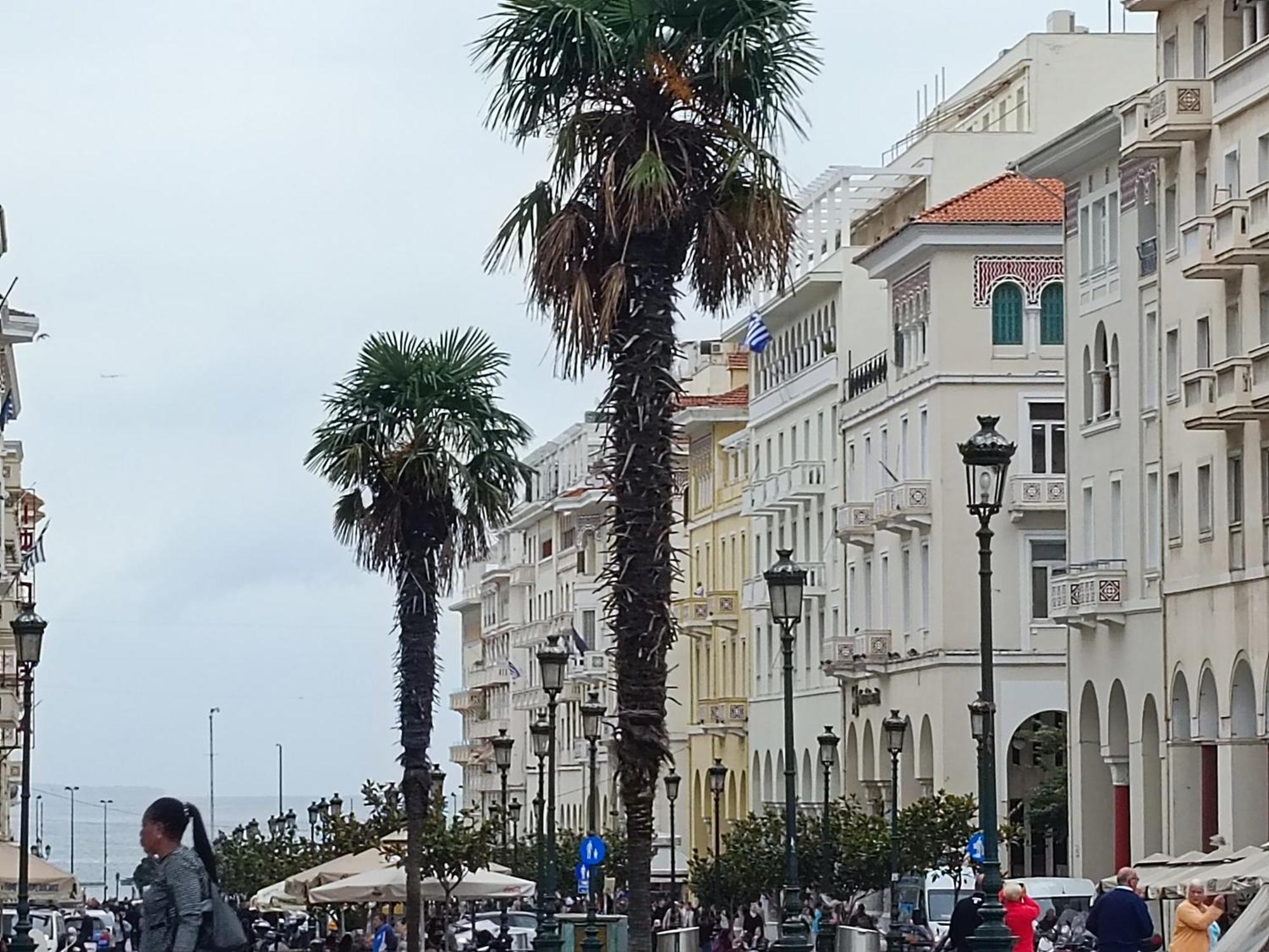 Ibis Studio Close To Aristotelous Square Διαμέρισμα